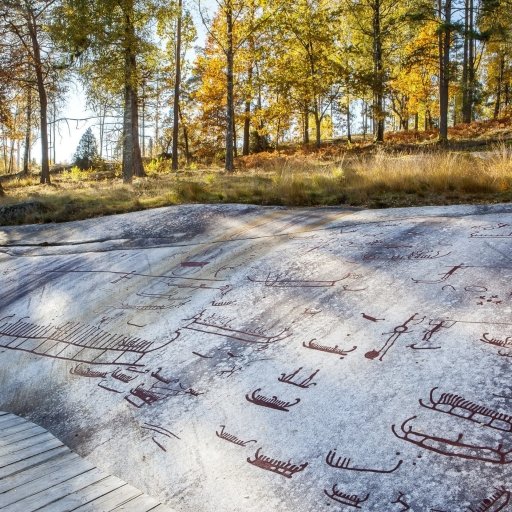 Rock Carvings in Tanum