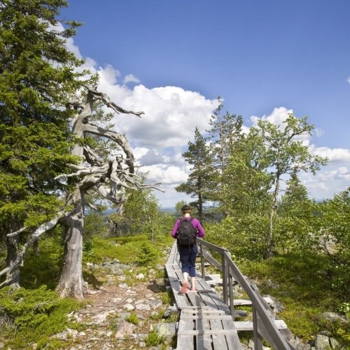 Hiking