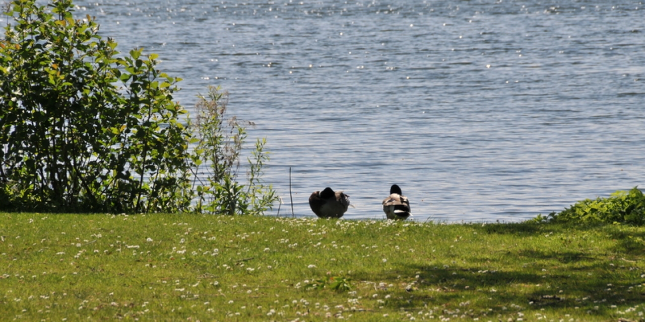Lake Esrum