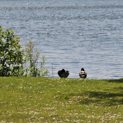 Lake Esrum
