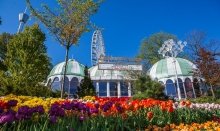 Liseberg is very famous for all the beautful flowers covering the park