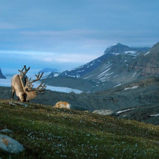 Svalbard in Norway