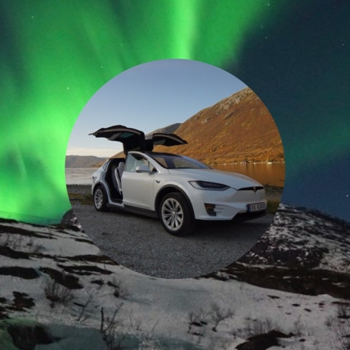 Northern Lights Wildlife Tour from Tromsø with eco-friendly Tesla Model X