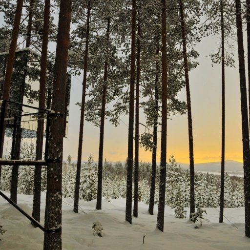 Treehotel