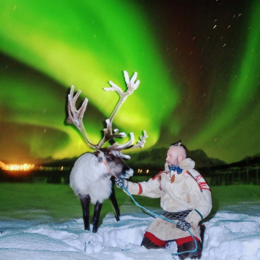 Reindeer Sledding and Northern Lights