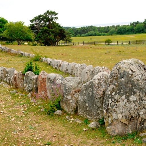 The Viking Village 
