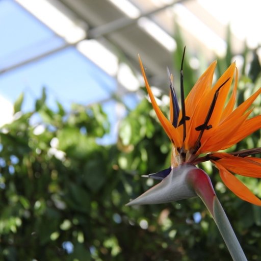Botanical Garden in Aarhus
