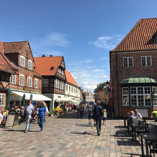 Ribe